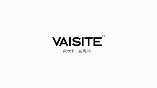 Vaisite 2022 Newest Popular Europe Style Modern Zamak Lever Handle on Rosette for Security Door
